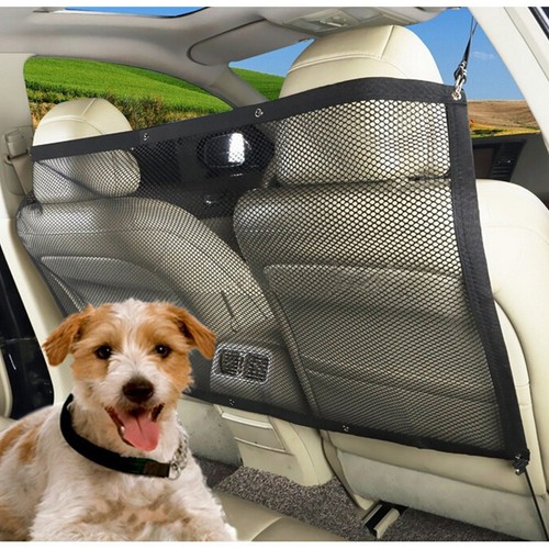 Dog barrier pet - dog,